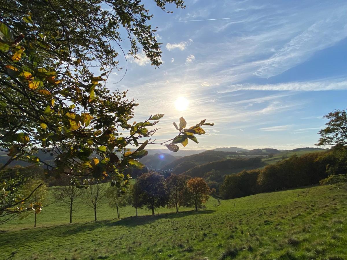 Apartmán Waldlaeufer Brilon Exteriér fotografie