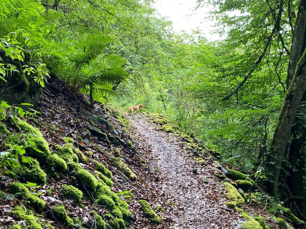 Apartmán Waldlaeufer Brilon Exteriér fotografie