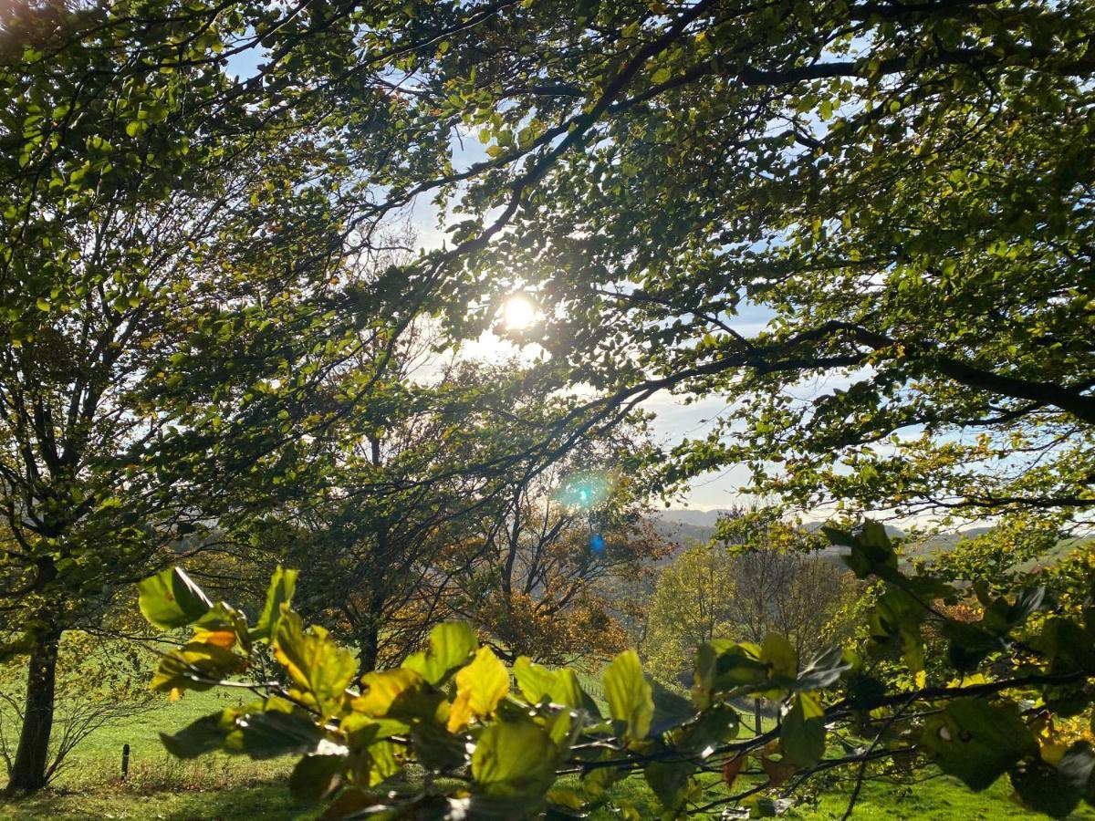 Apartmán Waldlaeufer Brilon Exteriér fotografie