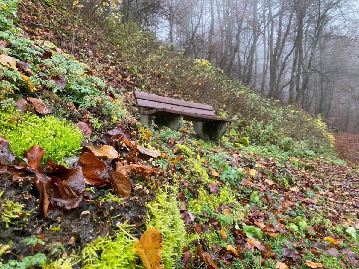 Apartmán Waldlaeufer Brilon Exteriér fotografie