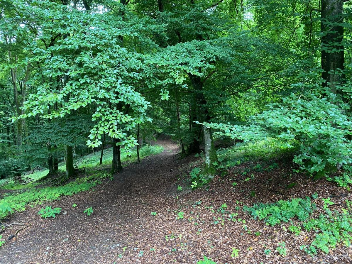 Apartmán Waldlaeufer Brilon Exteriér fotografie